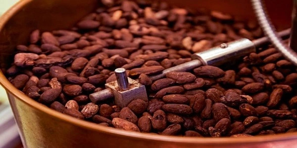 United States Cocoa Processing Market