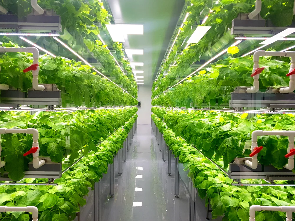 Germany Vertical Farming System Market